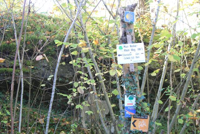 Info | Foto: Ralf Röser