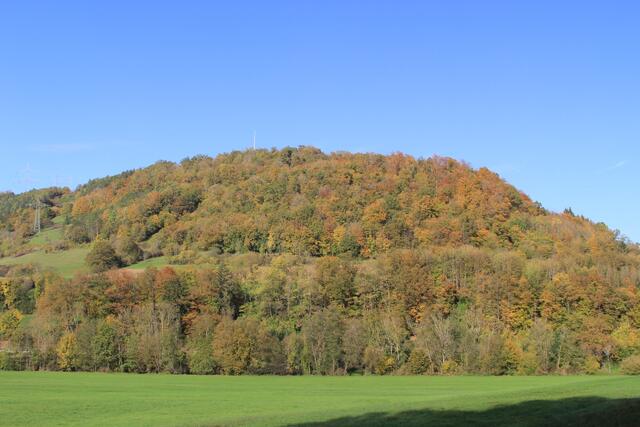 Die Herbstfarben sind einfach traumhaft🍁🍂😍🍂🍁 | Foto: Ralf Röser