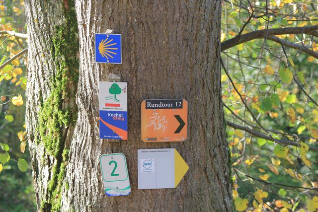 Info | Foto: Ralf Röser