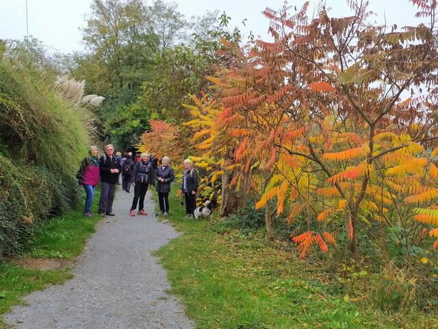 So herbstlich farbenfroh. Die Essigbäume leuchten richtig.  | Foto: sigischlottke