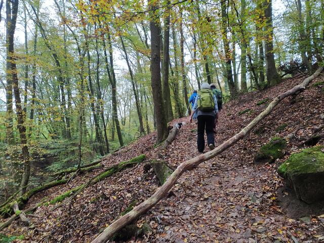 Das letzte Stück - bald sind wir am oberen Einstieg..  | Foto: sigischlottke