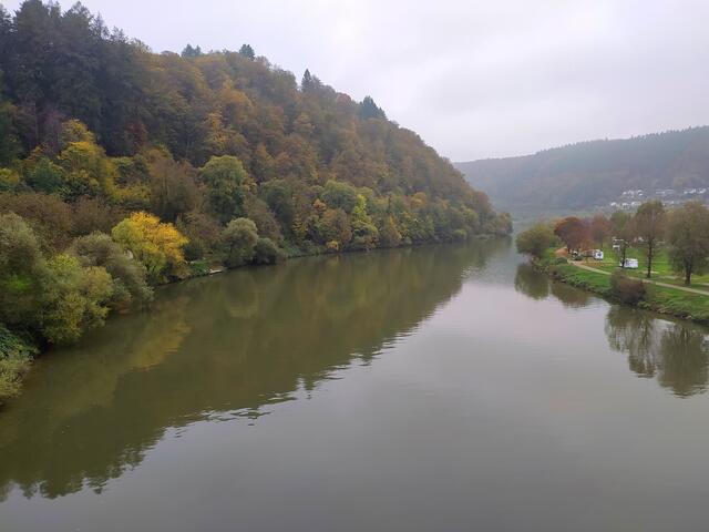 Der Neckar fließt ruhig und beschaulich dahin.  | Foto: sigischlottke