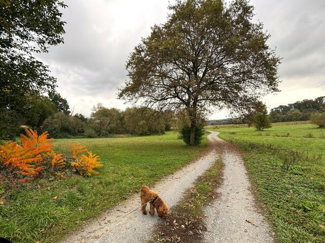 Foto: Heide Böllinger aus Bad Friedrichshall