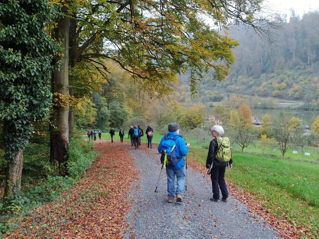 Dort unten ist schon der Neckar zu sehen.  | Foto: sigischlottke