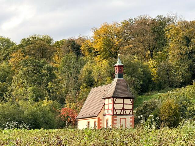 Foto: Heide Böllinger aus Bad Friedrichshall