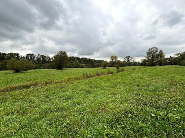 Foto: Heide Böllinger aus Bad Friedrichshall
