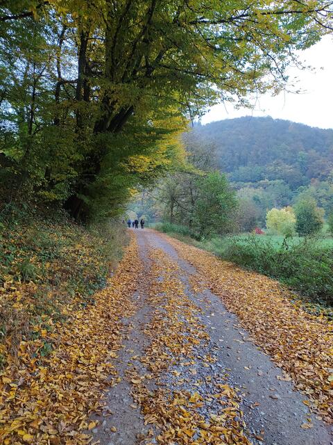 .... und wandern nun auf der linken Neckarseite weiter Richtung Neckargerach.  | Foto: sigischlottke