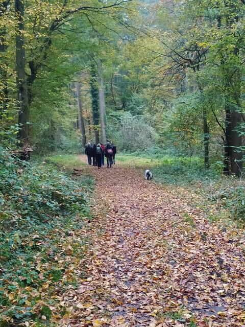 Die Wege sind wunderbar weich gepolstert.  | Foto: sigischlottke