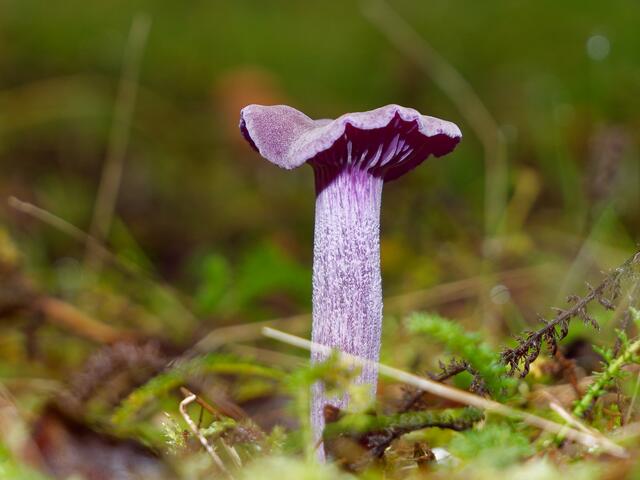 Foto: Eigenes Bild TB