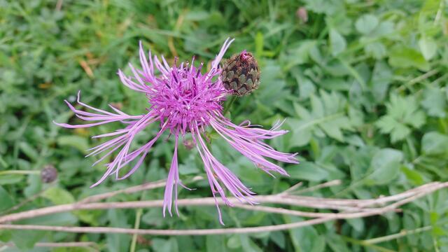 Farbenfroh🍁🍂😍🍂🍁🎃 | Foto: Ralf Röser