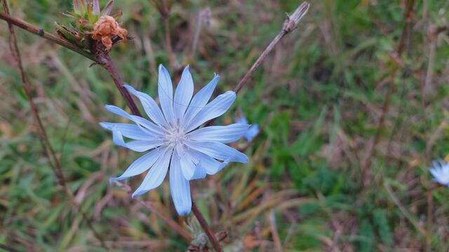 Farbenfroh🍁🍂😍🍂🍁🎃 | Foto: Ralf Röser