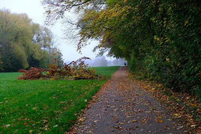 Foto: Eduard Warenik