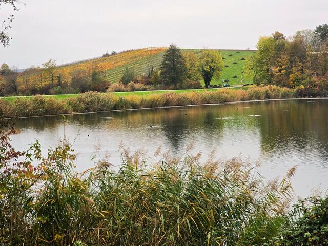 Foto: Heidrun Rosenberger