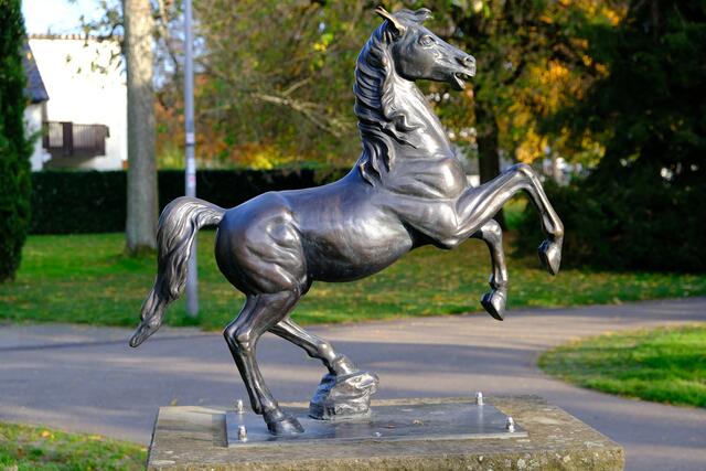 Foto: Eduard Warenik