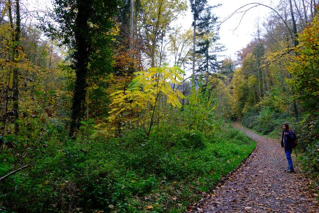 Foto: Eduard Warenik