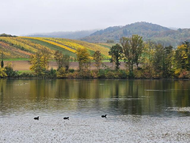 Foto: Heidrun Rosenberger