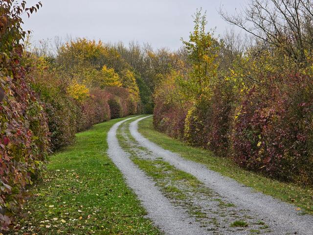 Foto: Heidrun Rosenberger
