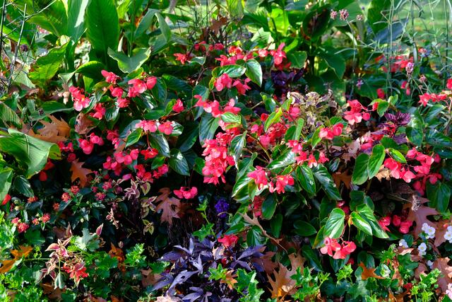 Foto: Eduard Warenik