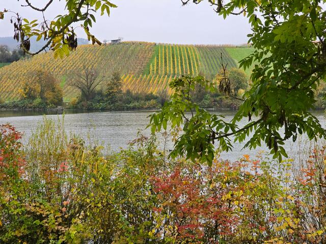 Foto: Heidrun Rosenberger