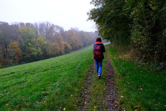 Foto: Eduard Warenik