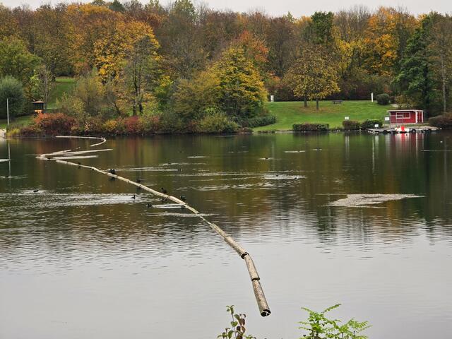 Foto: Heidrun Rosenberger