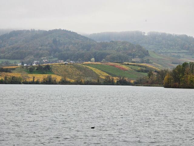 Foto: Heidrun Rosenberger