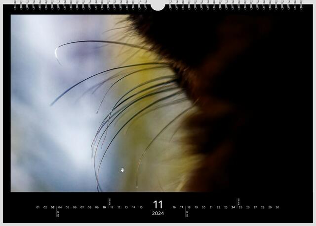 Cat art 😊 | Foto: WKY