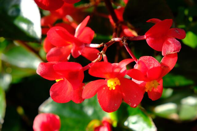 Foto: Eduard Warenik