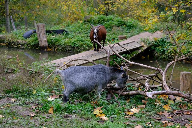 Foto: Eduard Warenik