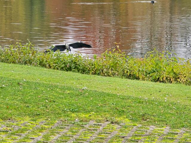 Foto: Heidrun Rosenberger