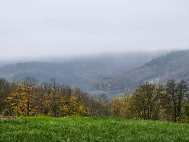 Foto: Heidrun Rosenberger