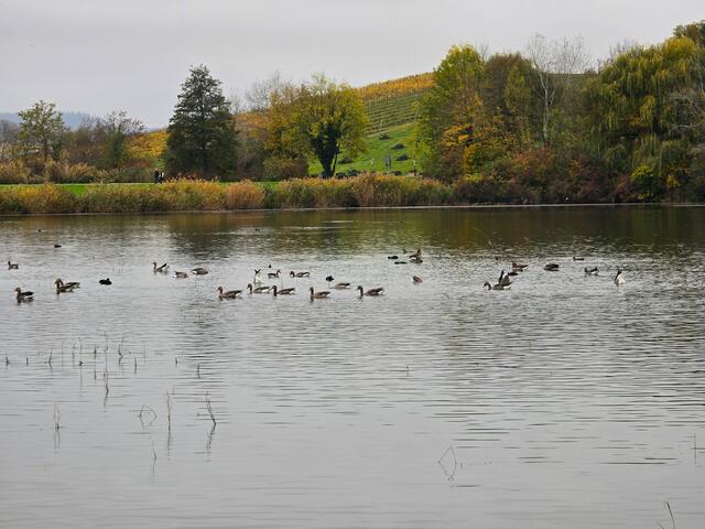 Foto: Heidrun Rosenberger