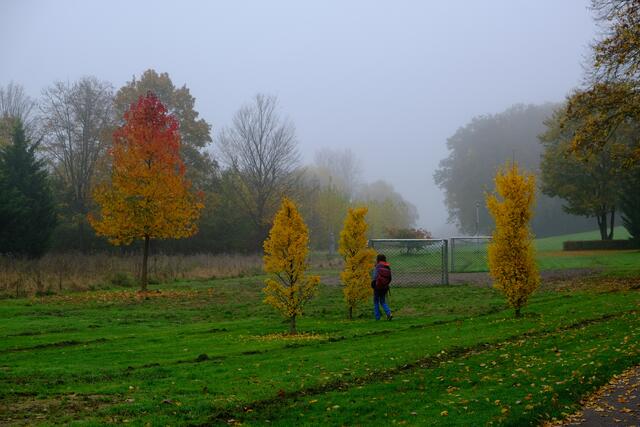Foto: Eduard Warenik