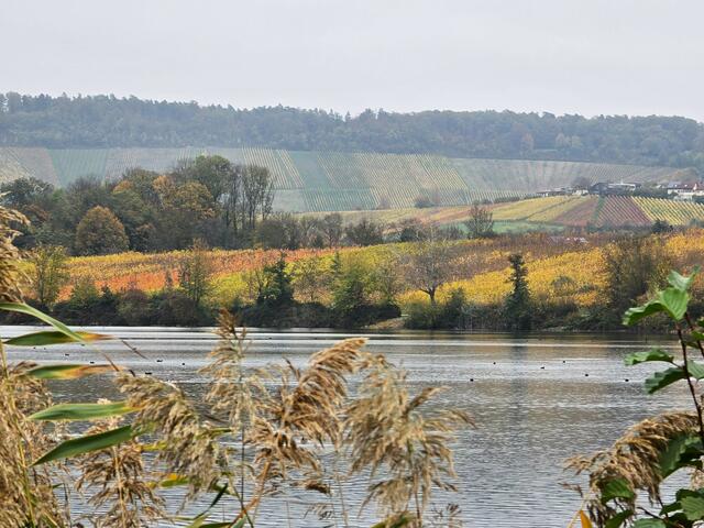 Foto: Heidrun Rosenberger