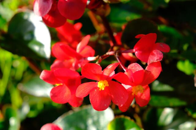 Foto: Eduard Warenik