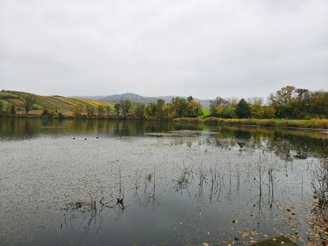 Foto: Heidrun Rosenberger
