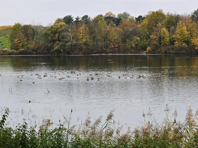 Foto: Heidrun Rosenberger