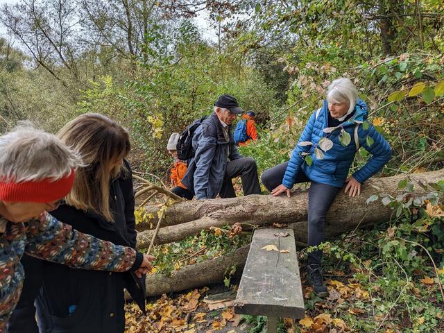 Baum wird überwunden | Foto: privat