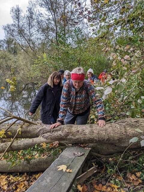 Anke klettert über den Baum | Foto: privat