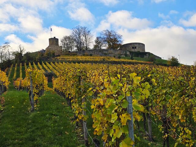 Foto: Heidrun Rosenberger