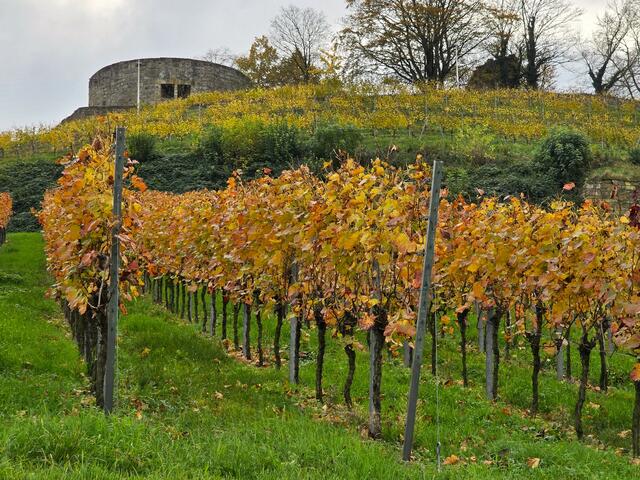 Foto: Heidrun Rosenberger