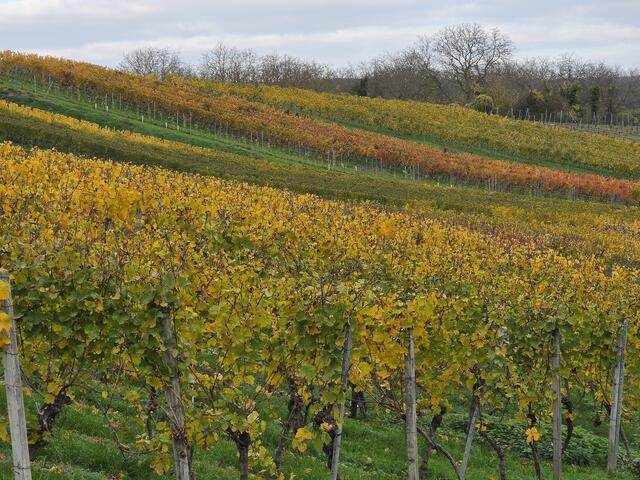 Foto: Heidrun Rosenberger