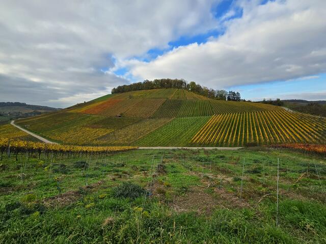 Foto: Heidrun Rosenberger