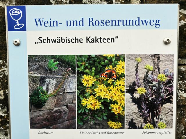 Foto: Heidrun Rosenberger