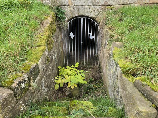 Foto: Heidrun Rosenberger