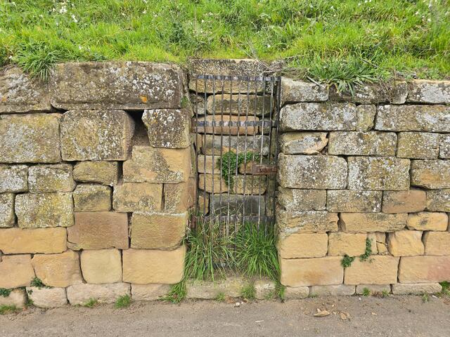 Foto: Heidrun Rosenberger