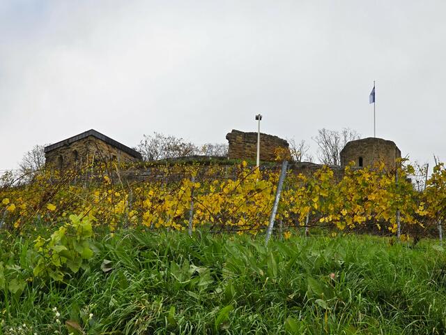 Foto: Heidrun Rosenberger