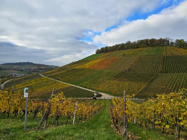 Foto: Heidrun Rosenberger