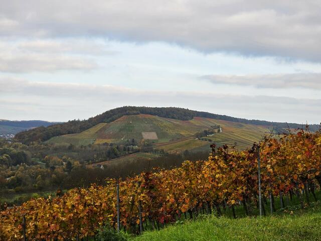 Foto: Heidrun Rosenberger