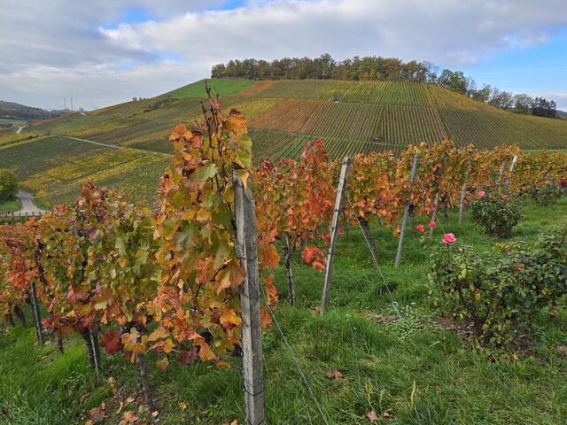 Foto: Heidrun Rosenberger